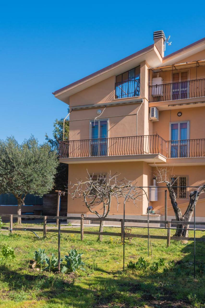 Travelershome Ciampino&Morena Guesthouse Roma Ngoại thất bức ảnh